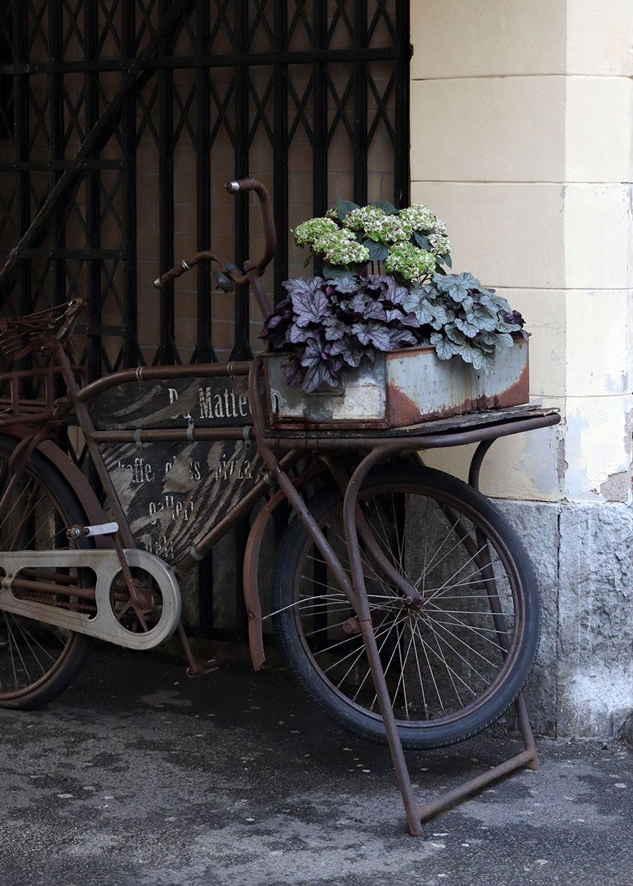 Ein antikes Fahrrad mit Blumendeko